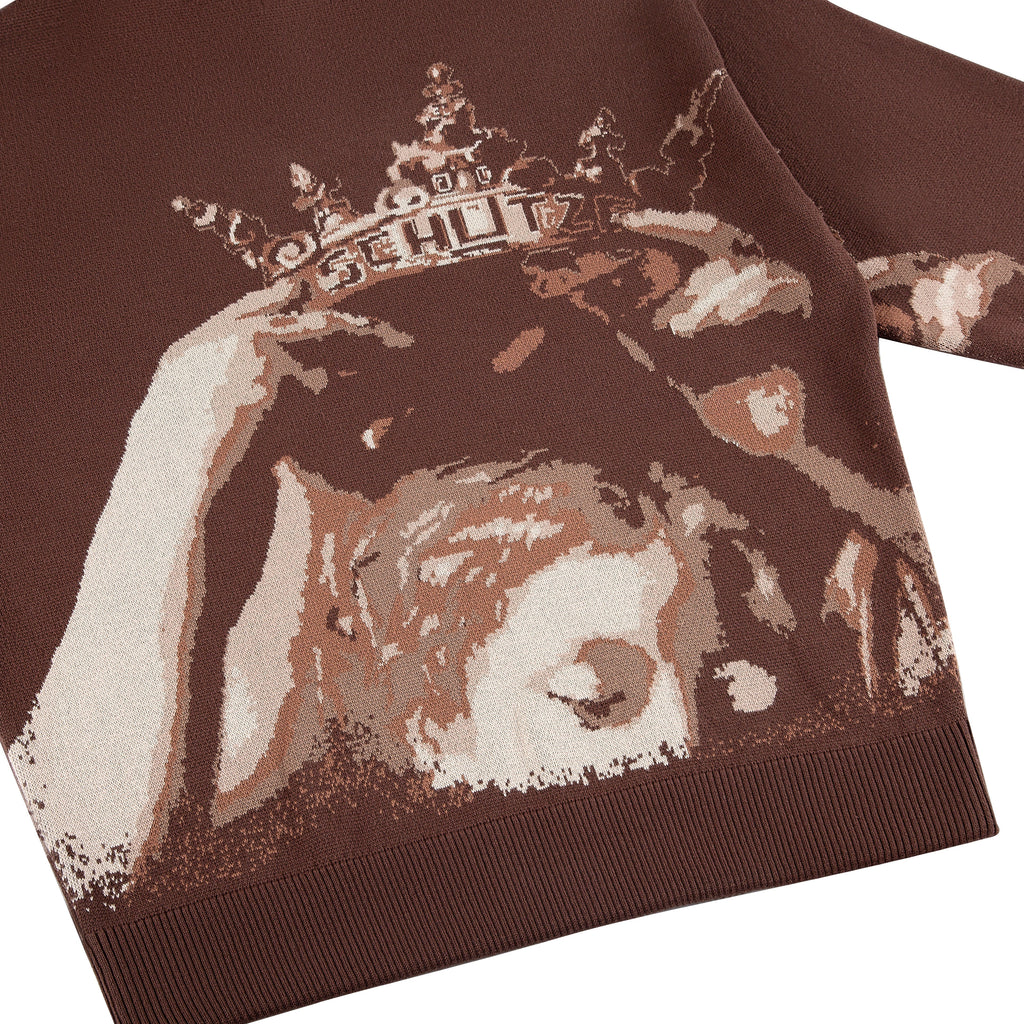 "awakening" knit Hoodie brown